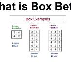 what is a box bet in horse racing